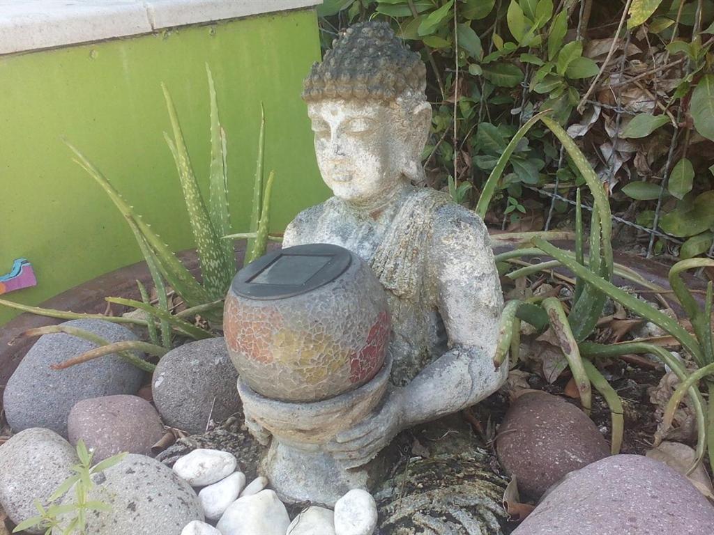 伊甸洛克别墅 舍尔谢 外观 照片